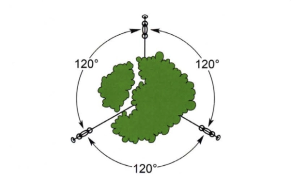 Abspannung im Kronenbereich