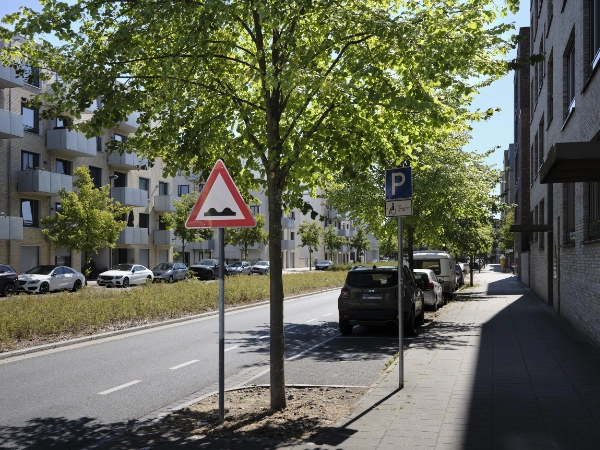 freier und gut zu pflegender Bereich um den jungen Stadtbaum