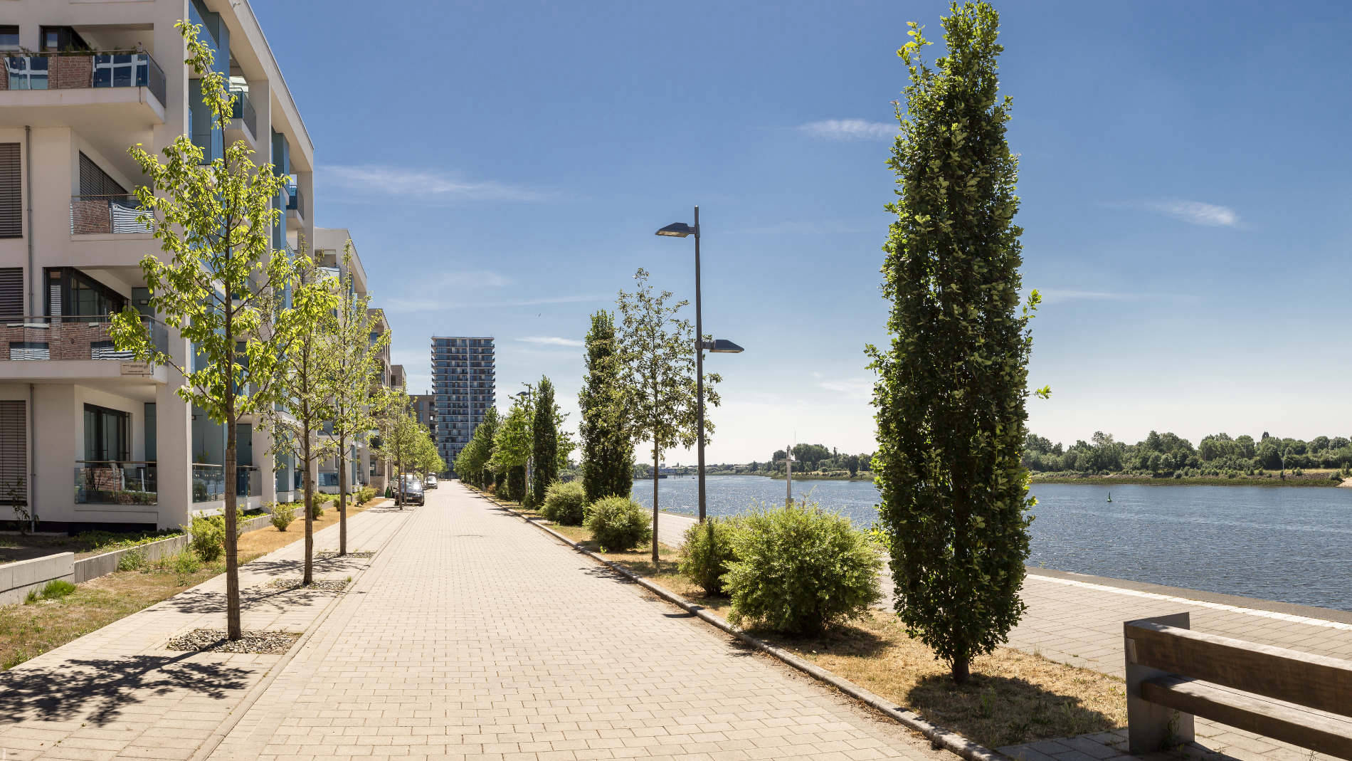 Überseepromenade Bremen – Baumreihe ohne sichtbare Pfähle, verankert mit Meyerdiercks-Erdankern